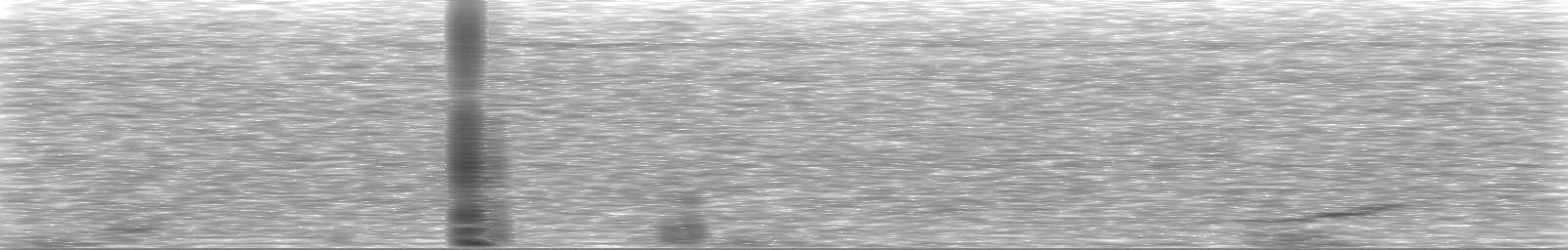 [Loading Spectrogram]