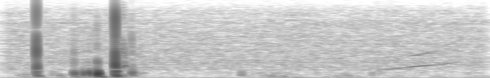 [Loading Spectrogram]