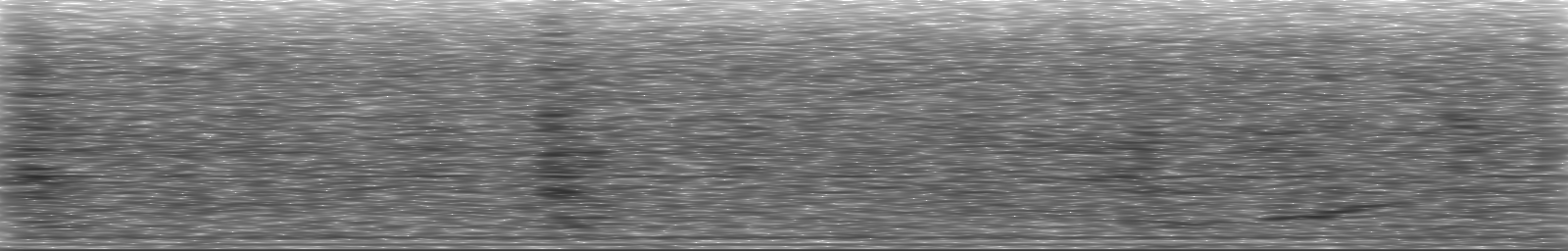 [Loading Spectrogram]