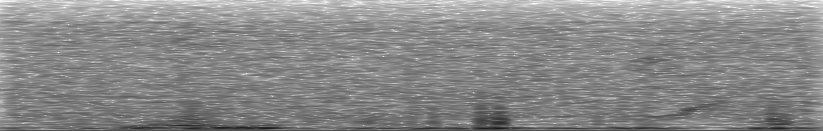 [Loading Spectrogram]