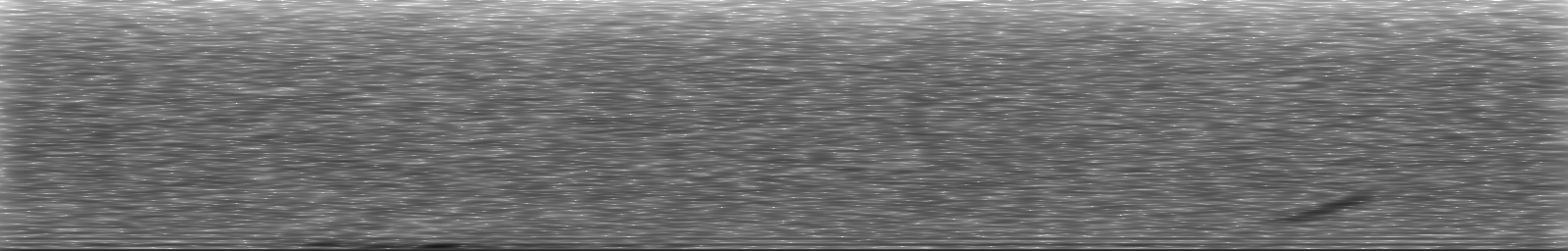 [Loading Spectrogram]