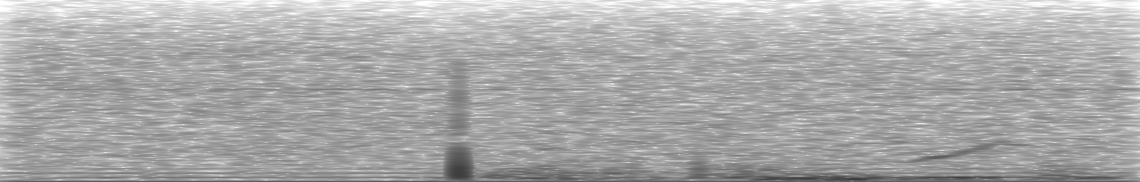 [Loading Spectrogram]