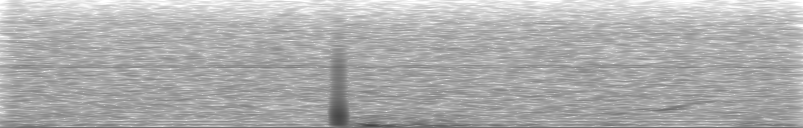 [Loading Spectrogram]