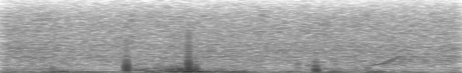 [Loading Spectrogram]