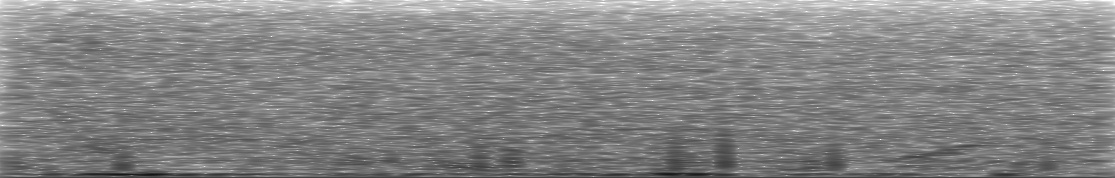 [Loading Spectrogram]