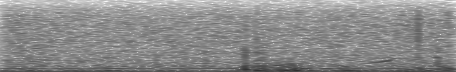 [Loading Spectrogram]