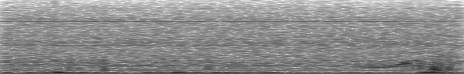 [Loading Spectrogram]