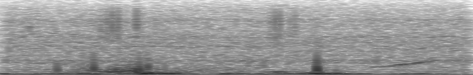 [Loading Spectrogram]