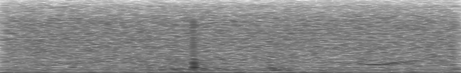 [Loading Spectrogram]