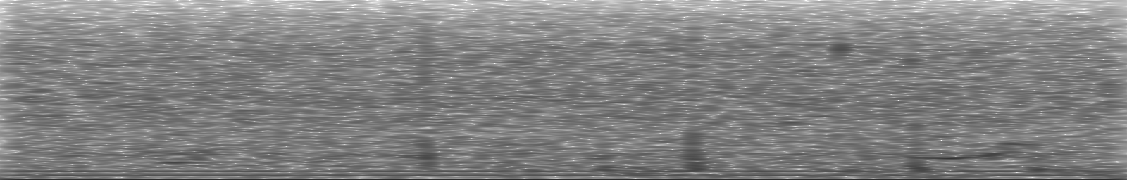 [Loading Spectrogram]