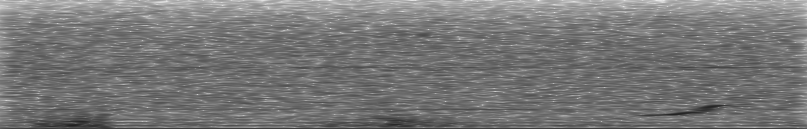 [Loading Spectrogram]