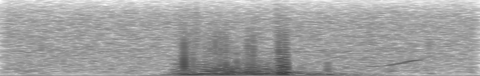 [Loading Spectrogram]