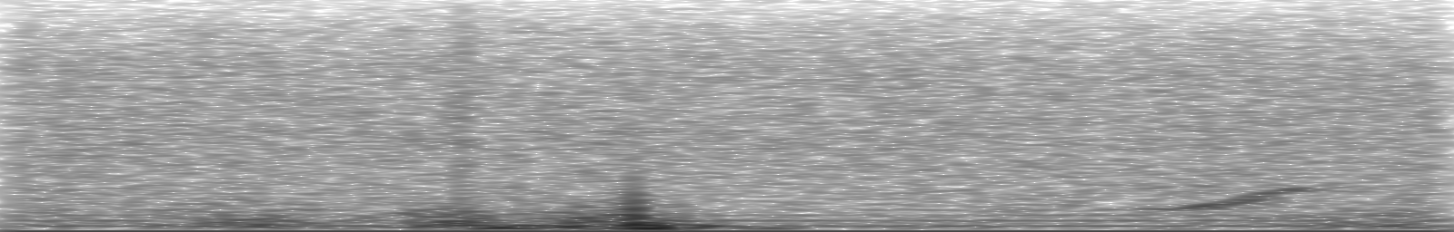 [Loading Spectrogram]