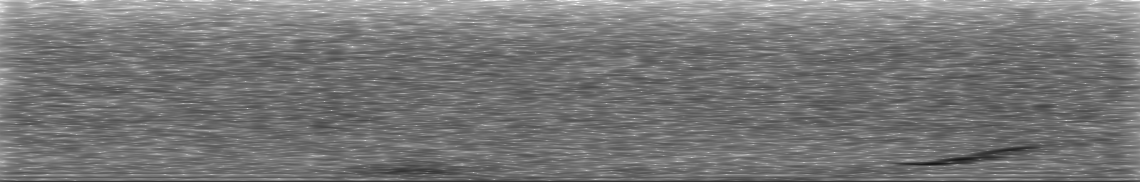 [Loading Spectrogram]