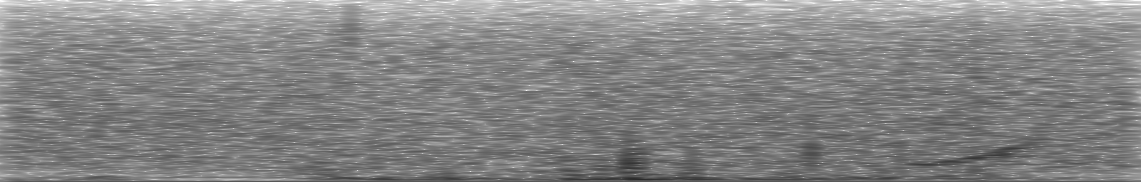 [Loading Spectrogram]