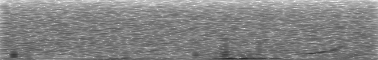 [Loading Spectrogram]