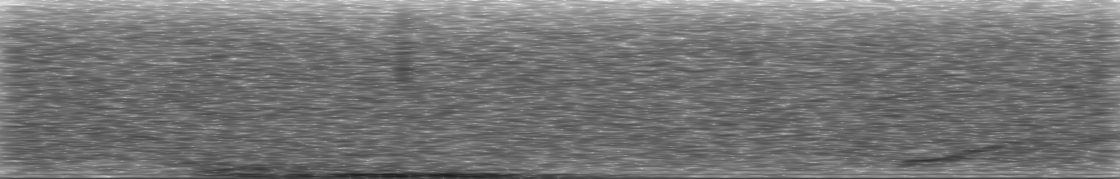 [Loading Spectrogram]