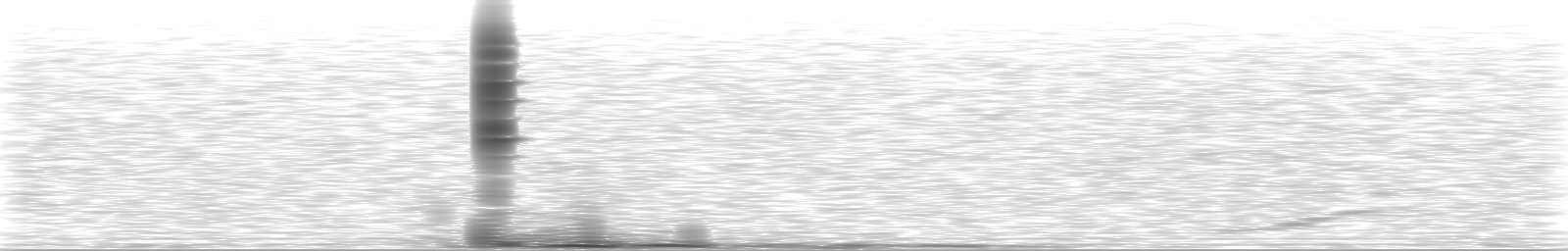 [Loading Spectrogram]