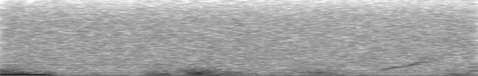 [Loading Spectrogram]