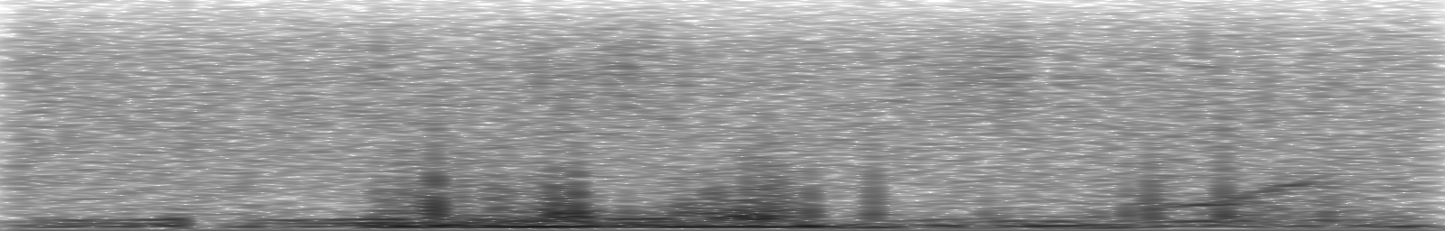 [Loading Spectrogram]