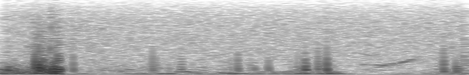 [Loading Spectrogram]