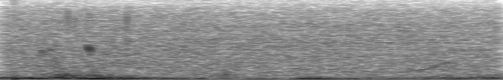 [Loading Spectrogram]