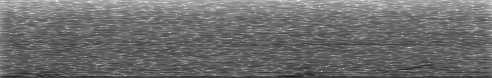 [Loading Spectrogram]