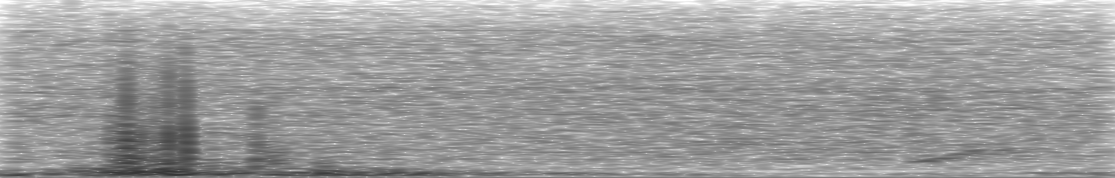 [Loading Spectrogram]