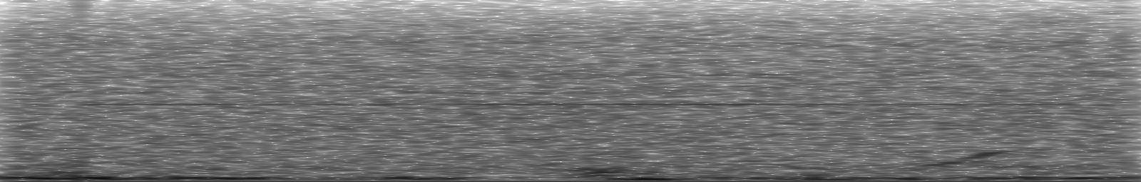 [Loading Spectrogram]