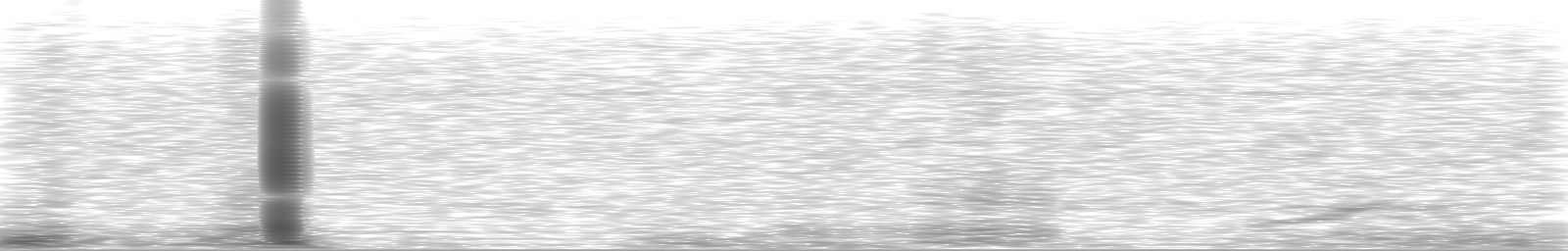 [Loading Spectrogram]