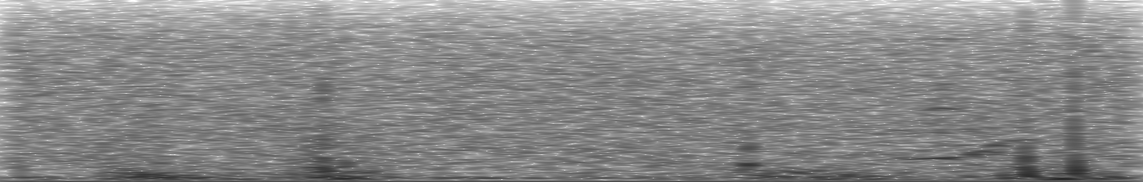 [Loading Spectrogram]