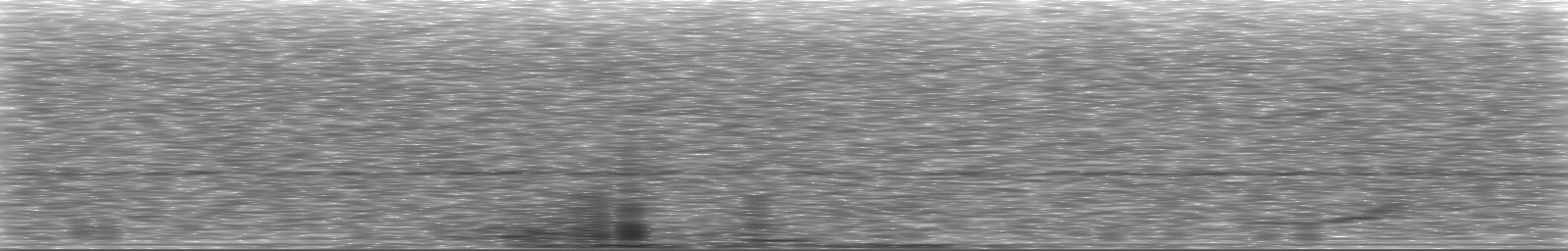 [Loading Spectrogram]