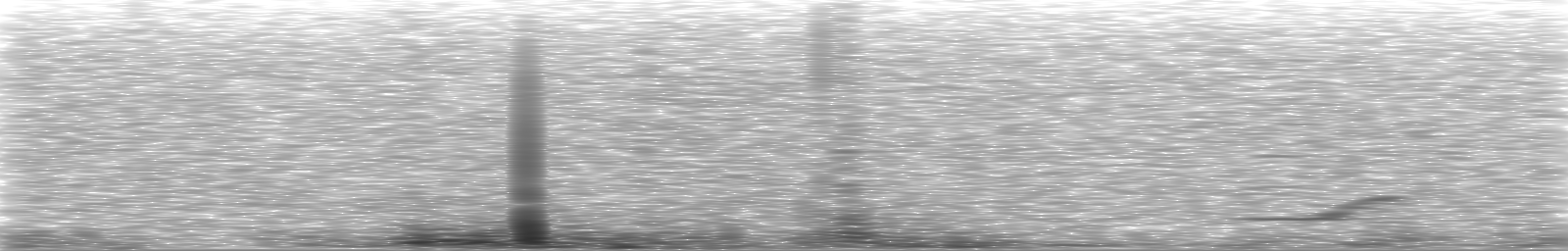 [Loading Spectrogram]