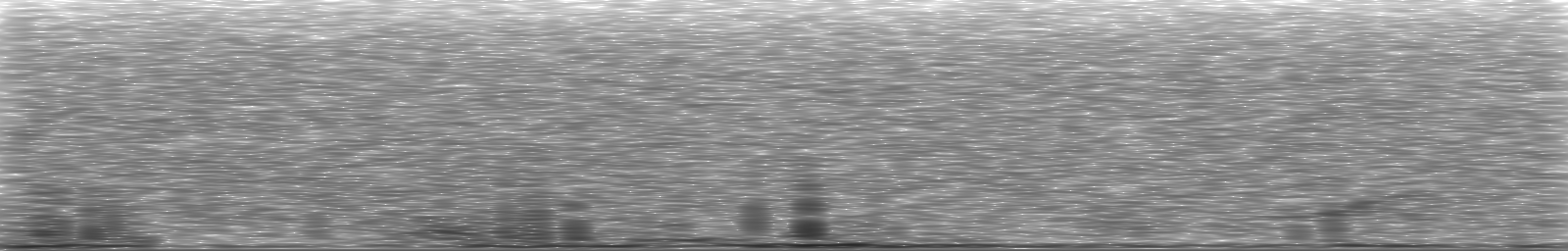 [Loading Spectrogram]