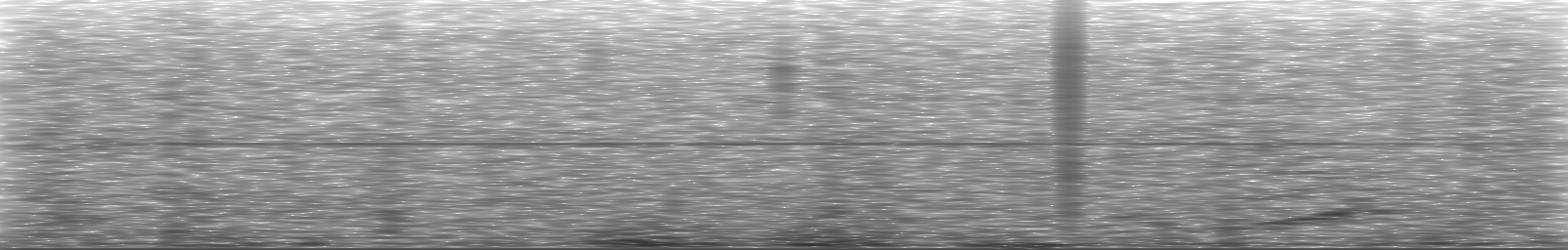 [Loading Spectrogram]