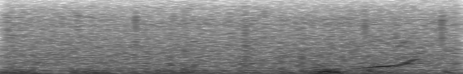 [Loading Spectrogram]