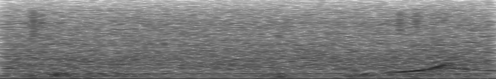 [Loading Spectrogram]