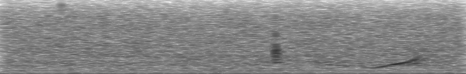 [Loading Spectrogram]