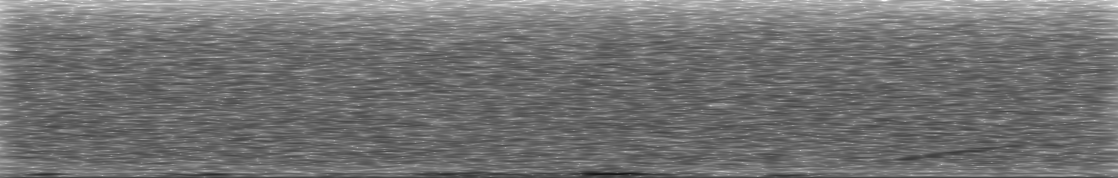 [Loading Spectrogram]