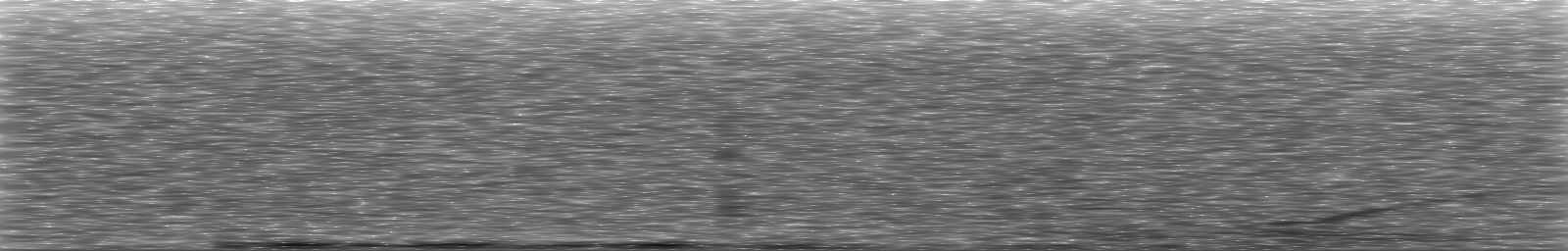 [Loading Spectrogram]