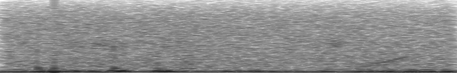 [Loading Spectrogram]