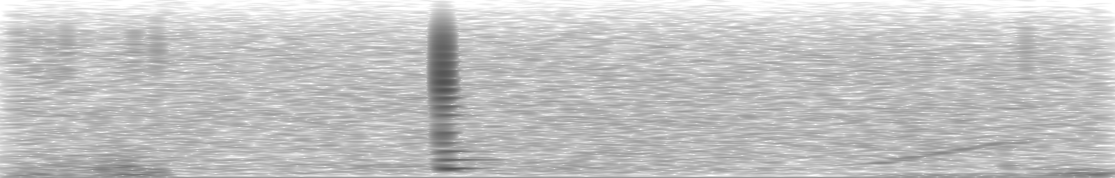 [Loading Spectrogram]