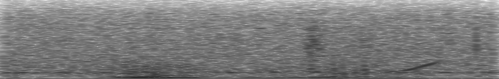 [Loading Spectrogram]