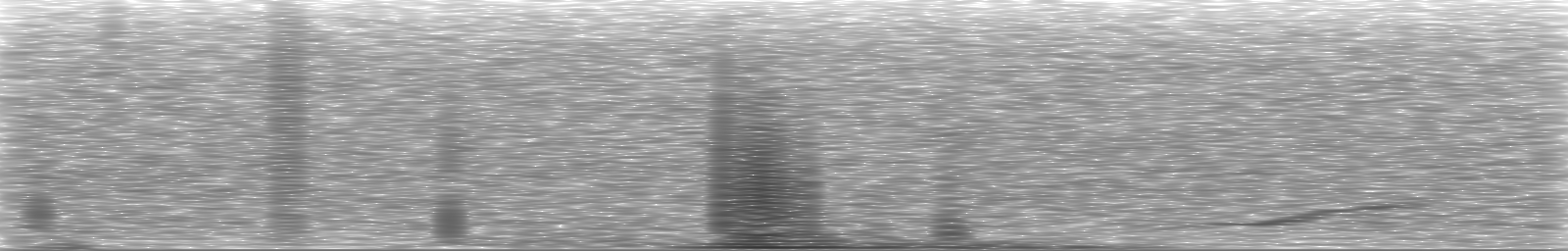 [Loading Spectrogram]