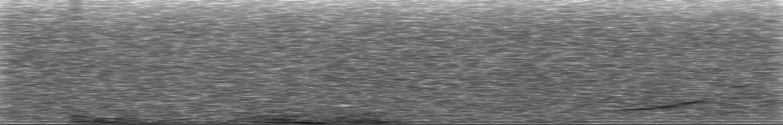 [Loading Spectrogram]