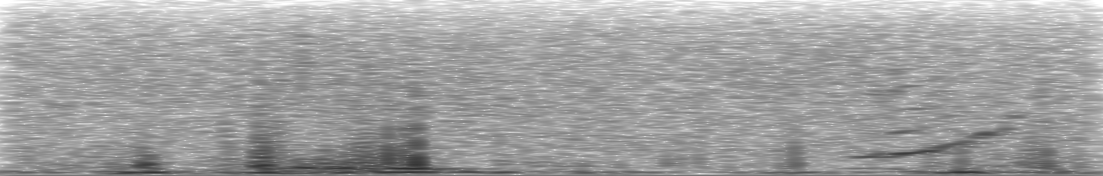 [Loading Spectrogram]