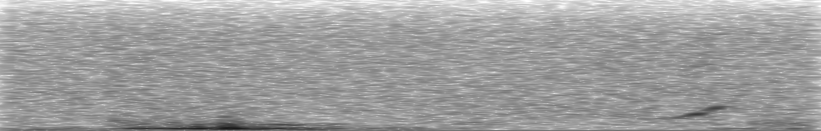 [Loading Spectrogram]