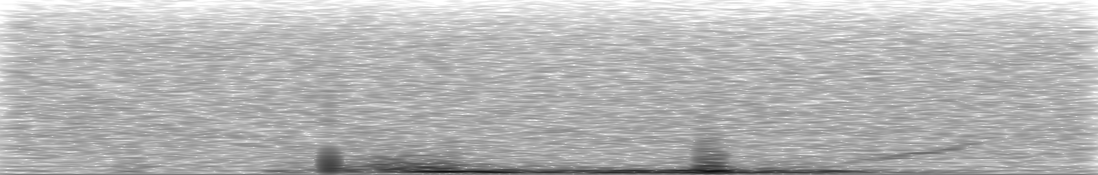 [Loading Spectrogram]