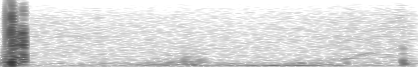 [Loading Spectrogram]