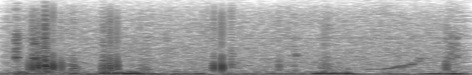 [Loading Spectrogram]